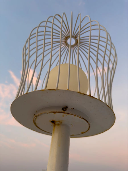 Ilumina tu Jardín: Las Mejores Fuentes de Luz Exterior